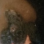vernon mcbride - @sqrink - Instagram