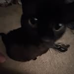 Vernon meyer - @vernonmeyer58 - Instagram