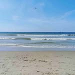 Vernon Meyer - @vernonmeyer3 - Instagram