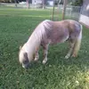 Vernon Mitchell - @vernon.mitchell1 - TikTok