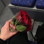 Tran Nhuyy - @vernon.obrien.35 - Instagram
