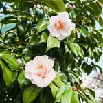 Vernon Obrien - @vernonobrien6 - Instagram