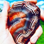 Vernon Bryan Olson - @vernon.olson.92 - Instagram