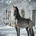 Vernon Olson - Facebook