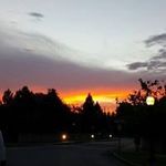 Vernon Patrick - @byrdman_1021 - Instagram