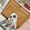 Vernon Pittman - @vernon.pittman - TikTok