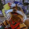 Vernon PerPlank - @vernon.perplank - TikTok