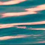 Vernon Porter - @vernonporter506 - Instagram