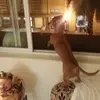 vernonrandolph5 - @vernonrandolph5 - TikTok