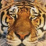 Vernon Rush - @lonetiger50 - Instagram
