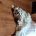 Vernon, Ryan Vernon - @ryan_vernon08 - Instagram