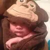vernonschierdingh - @vernonschierdingh - TikTok