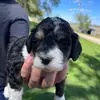Sherry Vernon-Shoemaker - @sherry.vernonshoem - TikTok
