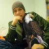 vernonstrongeagle - @vernonstrongeagle - TikTok