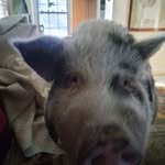 Vernon Tripp - @vernontripp - Instagram