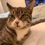 Vernon weeks - @weeks.vernon - Instagram