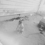 vernon.white - @vernon.white09 - Instagram