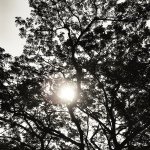 Vernon Wong - @come___asyou_are - Instagram