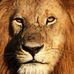 Veronica Adamson - Facebook