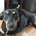 Veronica Adkins - Facebook