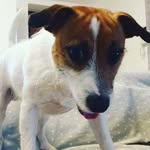 Agnia - @veronicaageeva7783461 - Instagram