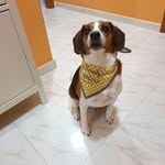 Angelica - @veronicaageeva7406496 - Instagram
