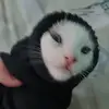 VerónicaHernan - @vernicahernan - TikTok