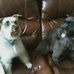 Veronica Akers - Facebook