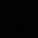 Veronica Allison - @vero_allison._ - Instagram