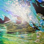 Veronica Allison - @veronica.allison.7583 - Instagram