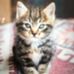 Veronica Altieri - Facebook