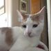 Veronica Altman - Facebook
