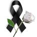 Veronica Amaro - Facebook