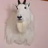 veronicaancheta19 - @veronicaancheta19 - TikTok