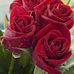 Veronica Antuna - Facebook