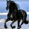 veronica_antunez - @veronica_antunez37 - TikTok