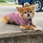 Veronica Arceo - @arceo.veronica - Instagram