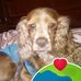 Veronica Arceo - Facebook