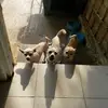 Veronica Arceo - @veronica.arceo34 - TikTok