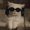 Veronica Archer - @veronica.archer30 - TikTok