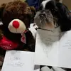 veronicaarcher9 - @veronicaarcher9 - TikTok