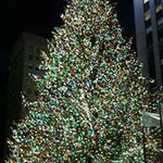 Veronica Argueta Chaves - @tay.brees.9 - Instagram