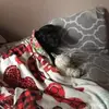 Veronica Baker - @veronica.baker33 - TikTok