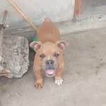 veronica balseca - @balseca940 - Instagram