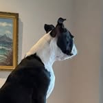 Veronica Bender - @ronkie36 - Instagram