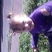 Veronica Berlingeri - Facebook