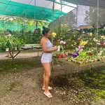 María Verónica Berrocal Carpio - @berrocalcarpio - Instagram