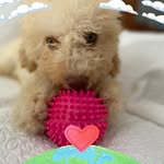 Veronica Berrocal Gutierrez - @veroberro42 - Instagram