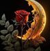 Veronica Bertado - Facebook