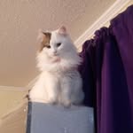 Veronica Beyer - @beyer8337 - Instagram